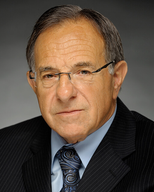 Portrait of senior executive with strong presence